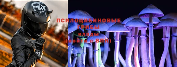 амф Алексин