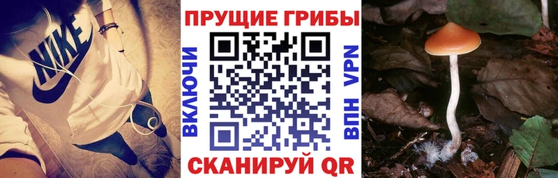 Псилоцибиновые грибы мицелий  где можно купить наркотик  Билибино 